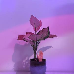 女人脱了内裤让男人操
