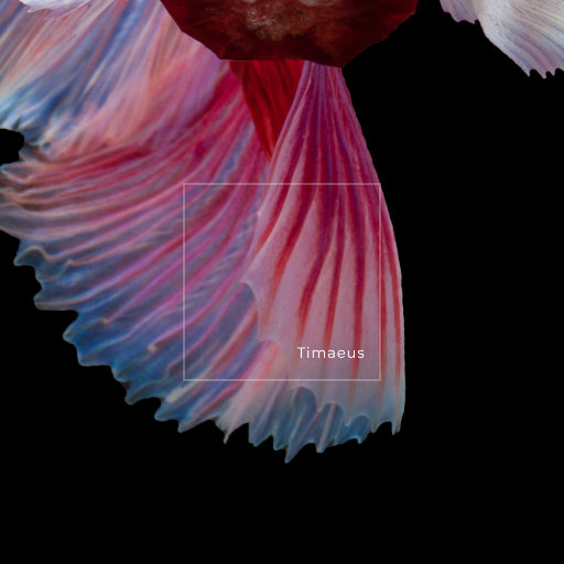 女人脱了内裤让男人操
